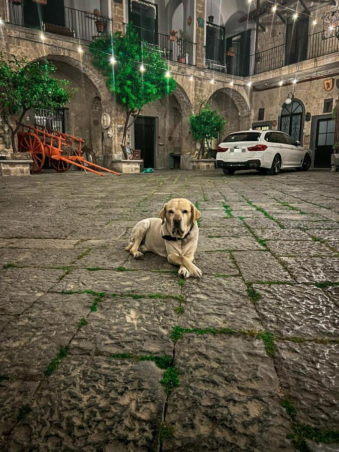 شقة Palazzo Capece Caivano المظهر الخارجي الصورة